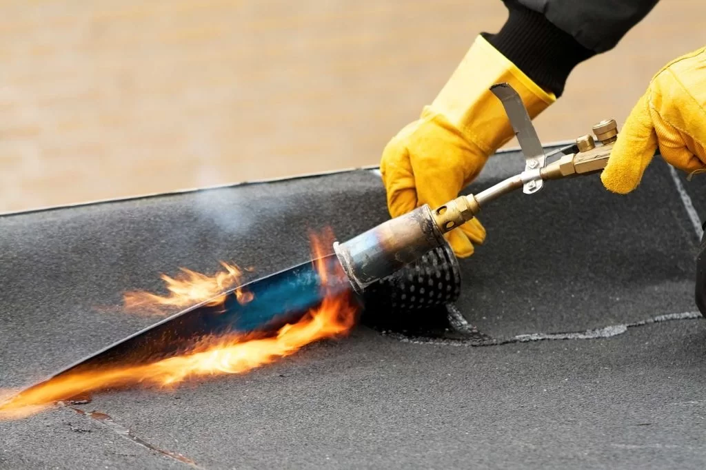 Papp 155795426 1 1024x682